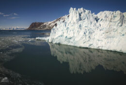 Spitsbergen_2025 (51/78)